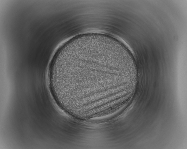 X0000115130987200911241442