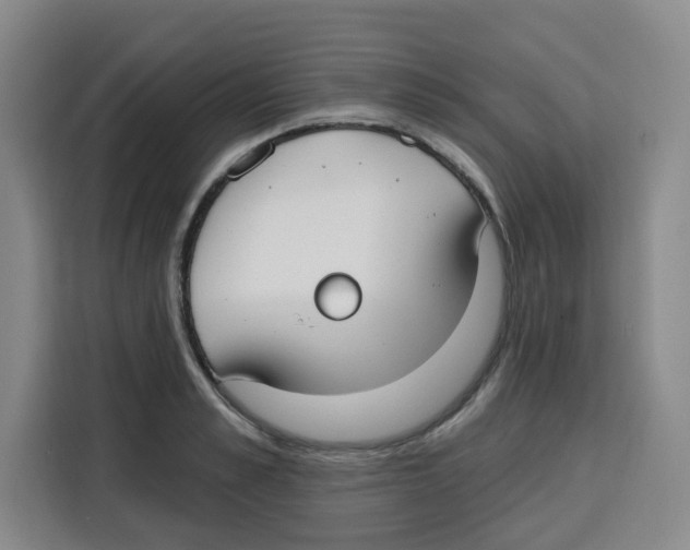 X0000115130989200911241442