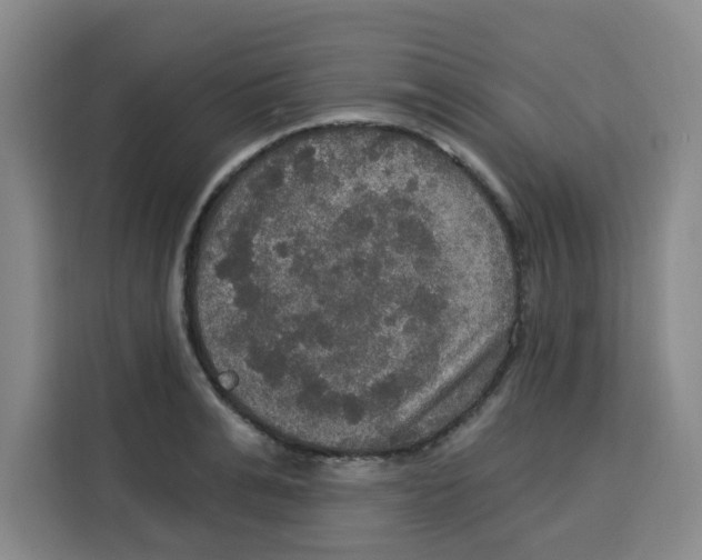 X0000115130991200911241442
