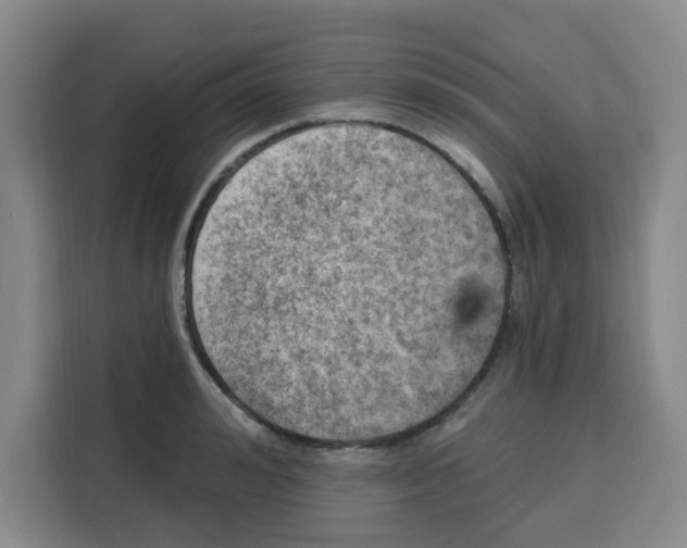 X0000115130992200911241442
