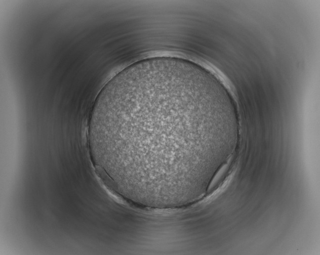 X0000115130993200911241442
