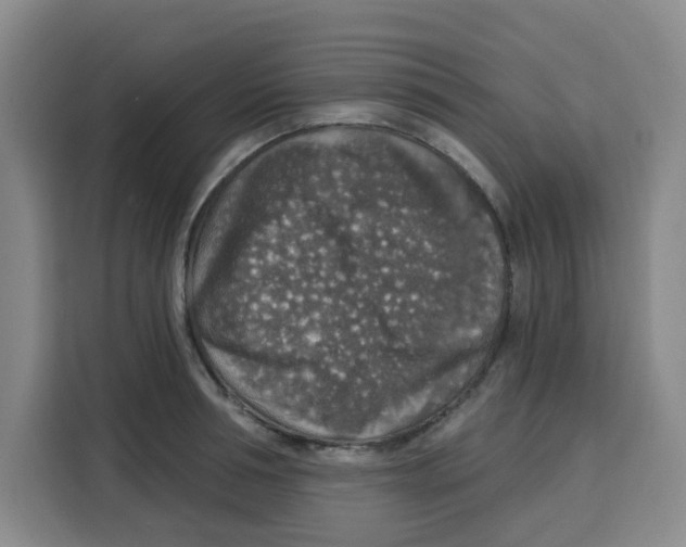 X0000115130994200911241442