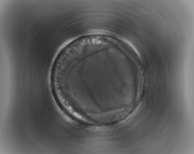 X0000115130995200911241442