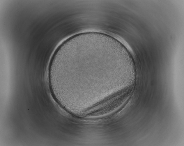 X0000115130996200911241442