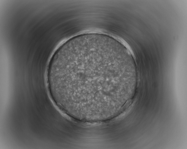 X0000115130997200911241442