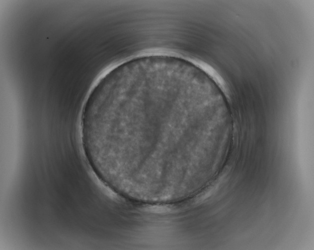 X0000115130998200911241442