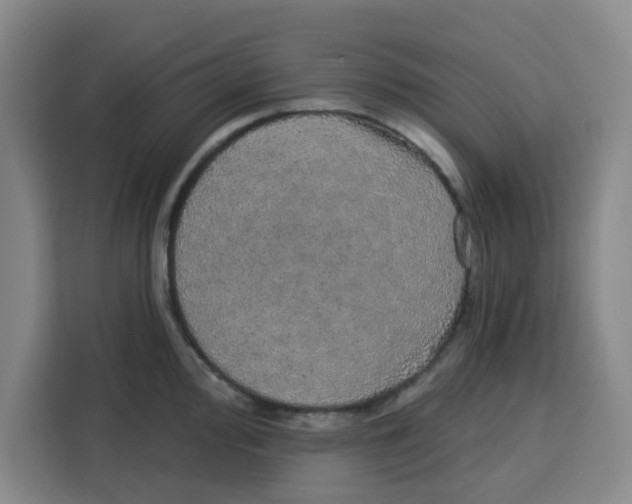 X0000115131000200911241442