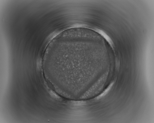 X0000115131001200911241442