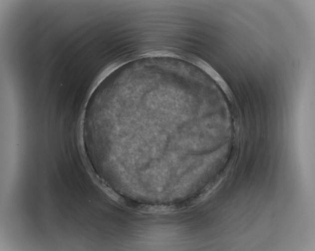 X0000115131002200911241442