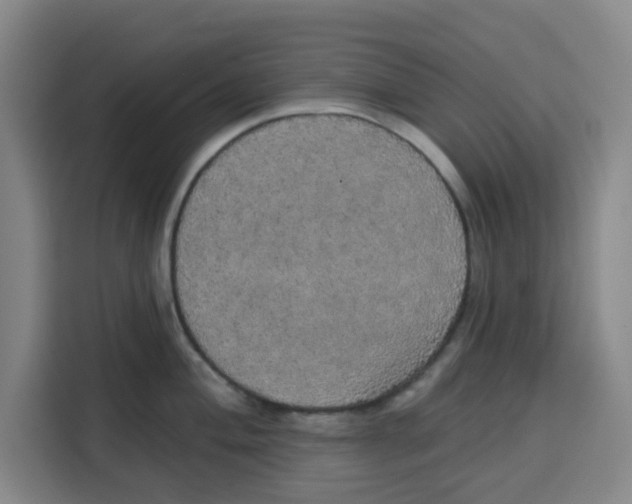 X0000115131004200911241442