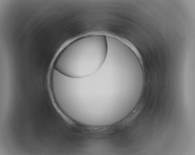 X0000115131005200911241442