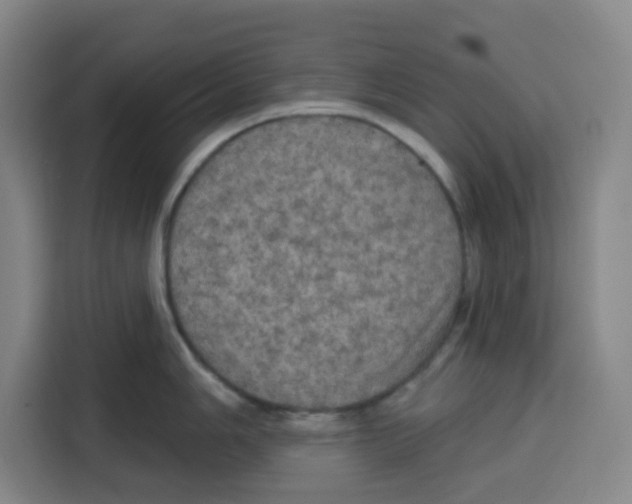 X0000115131006200911241442