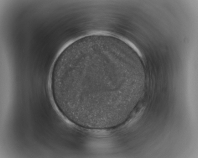 X0000115131007200911241442