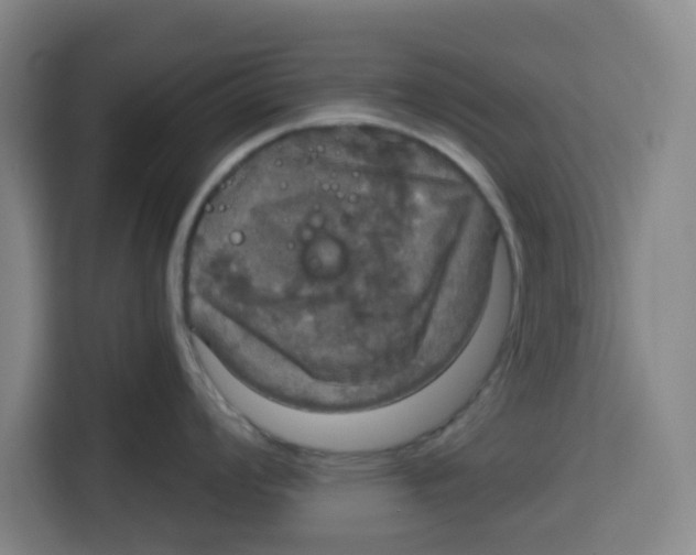 X0000115131008200911241442