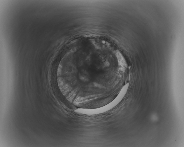 X0000115131009200911241441
