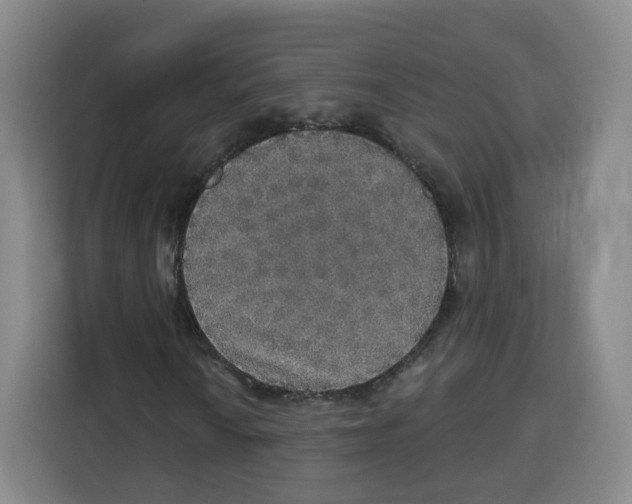 X0000115131010200911241441