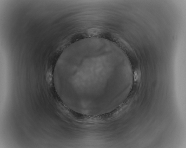 X0000115131011200911241441