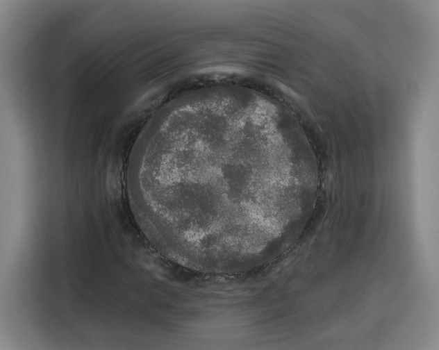 X0000115131014200911241441