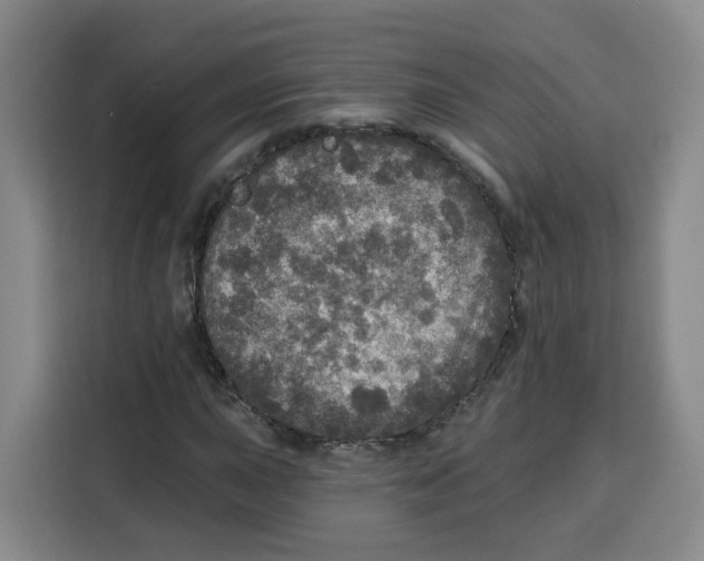 X0000115131015200911241441