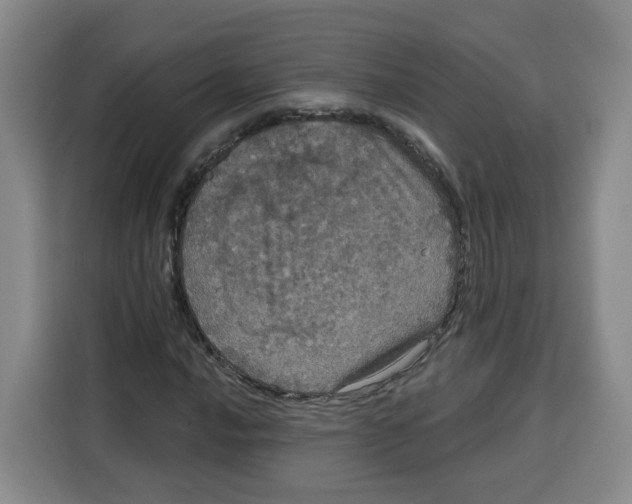 X0000115131016200911241441