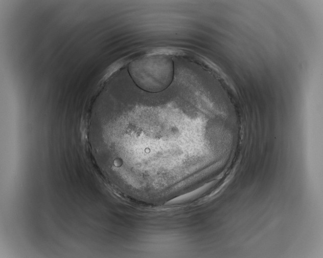 X0000115131017200911241441
