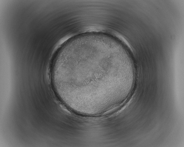 X0000115131018200911241441
