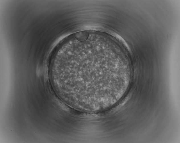 X0000115131019200911241441