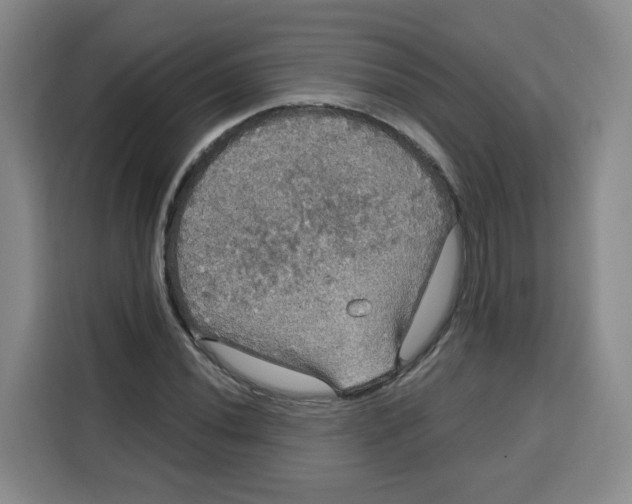 X0000115131020200911241441