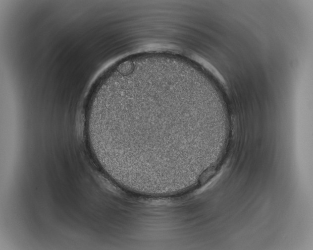 X0000115131021200911241441