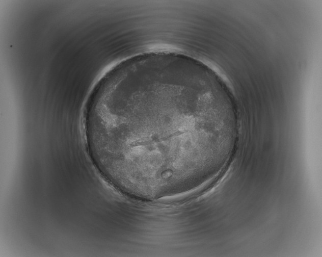 X0000115131022200911241441