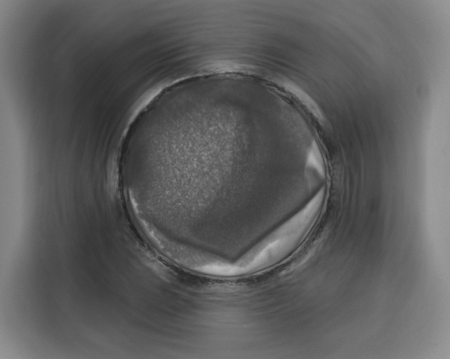 X0000115131023200911241441