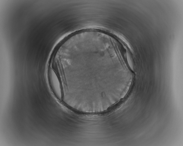 X0000115131024200911241441