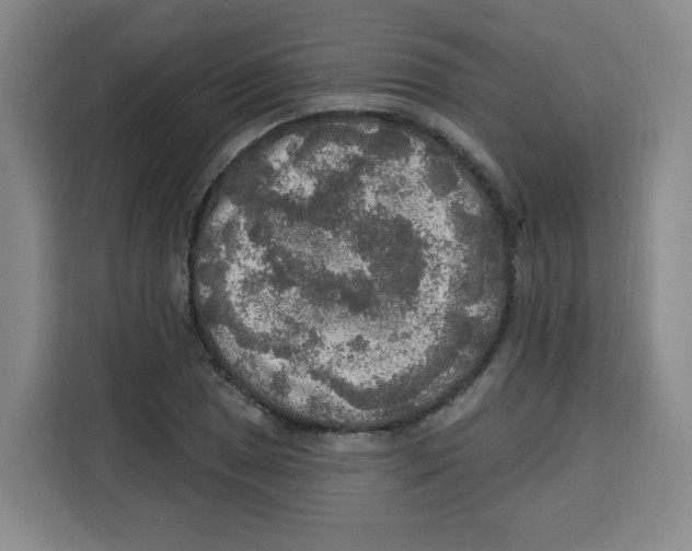 X0000115131025200911241441