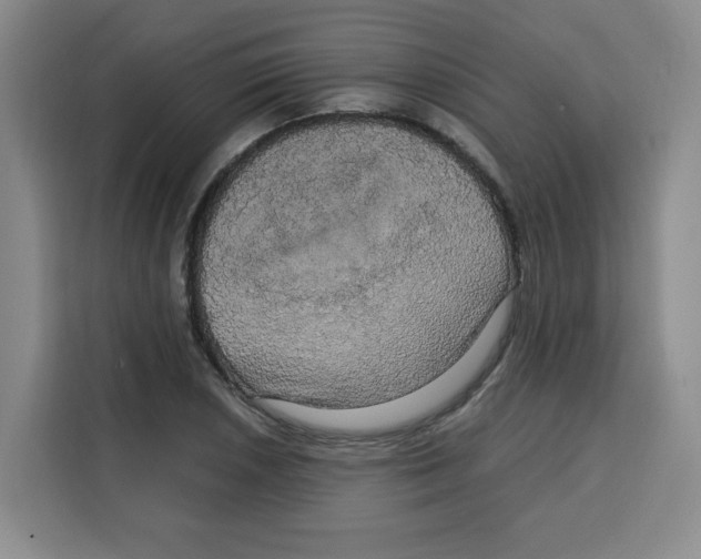 X0000115131026200911241441