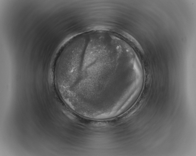X0000115131027200911241441