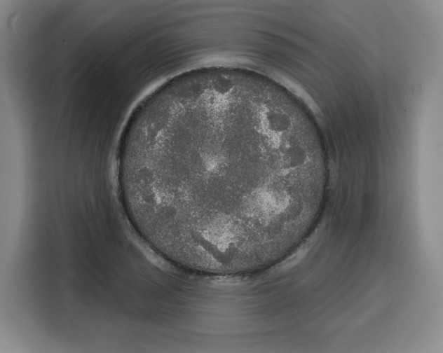 X0000115131029200911241441