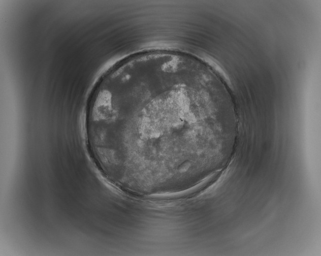 X0000115131030200911241441