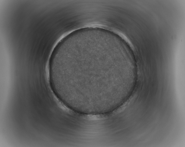 X0000115131032200911241441