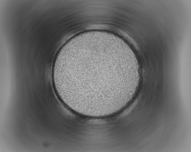 X0000115131033200911241441