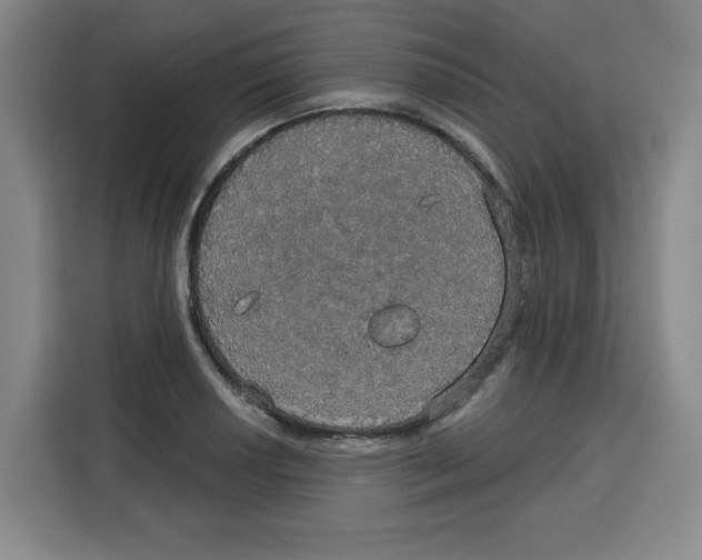 X0000115131034200911241441