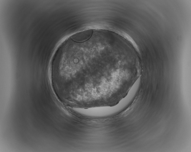 X0000115131035200911241441