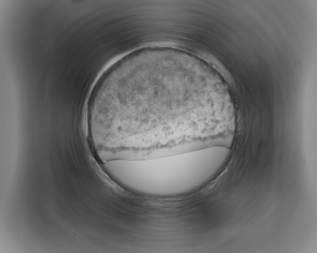 X0000115131036200911241441