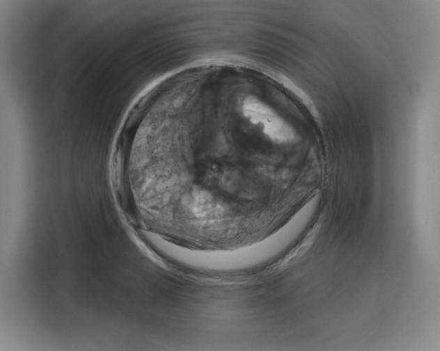 X0000115131037200911241441