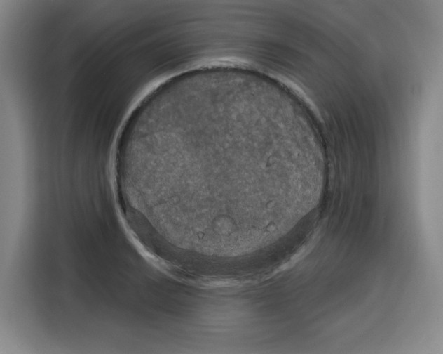 X0000115131038200911241442