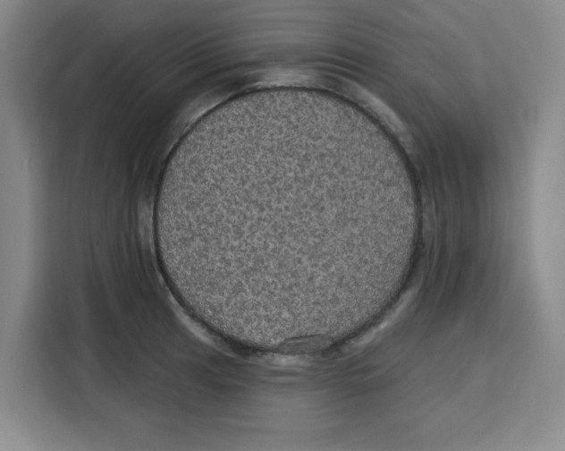 X0000115131041200911241442