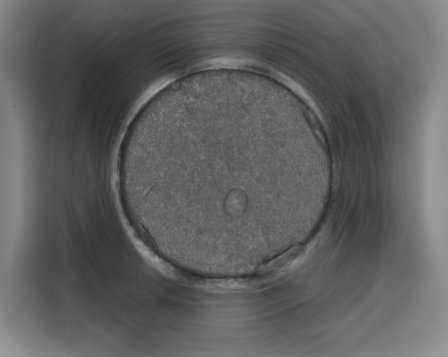X0000115131042200911241442