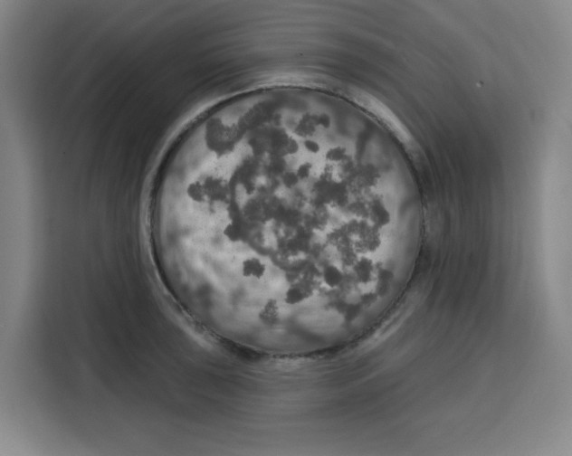 X0000115131043200911241442