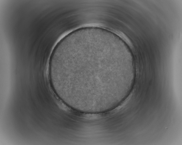 X0000115131044200911241442