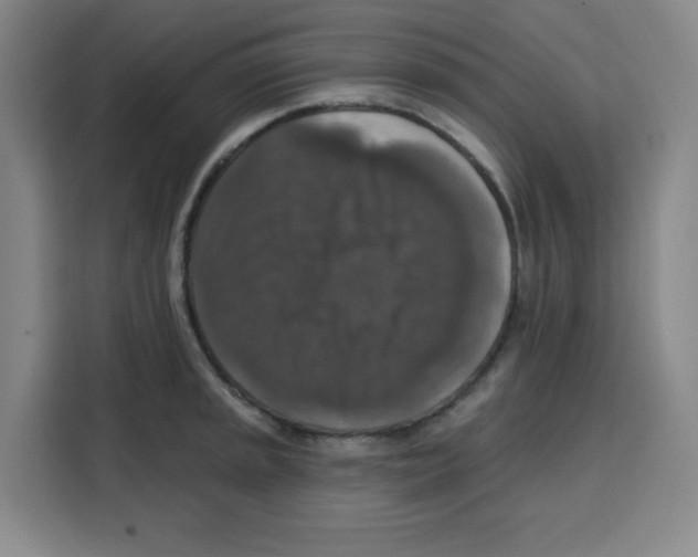 X0000115131045200911241442