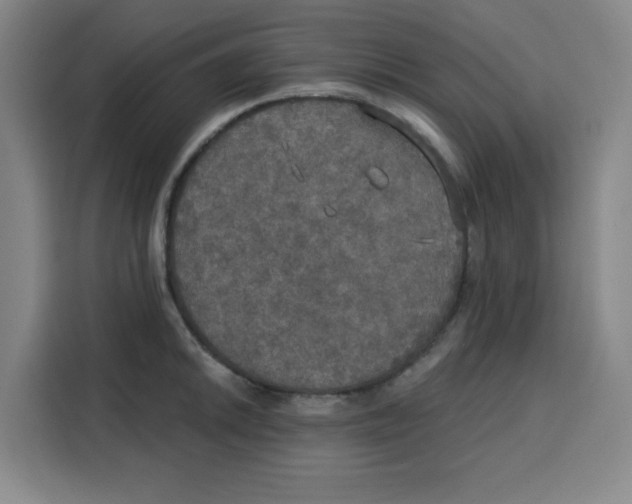 X0000115131046200911241442
